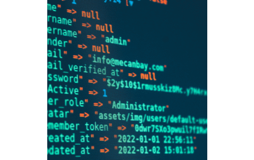 Trader analyzing Binary Options Cashback rewards dashboard