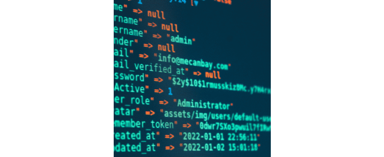 Trader analyzing Binary Options Cashback rewards dashboard