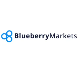 blueberry-markets-logo